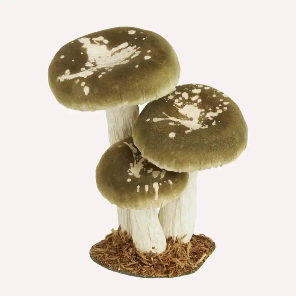 mushroom decoration. Forestcore