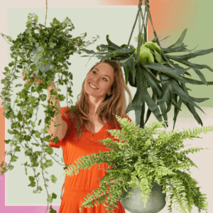 woman touching a hanging plant amongst other plants