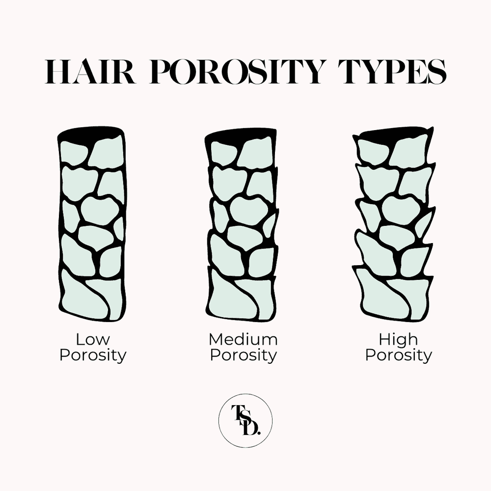 Illustration of different hair porosity types