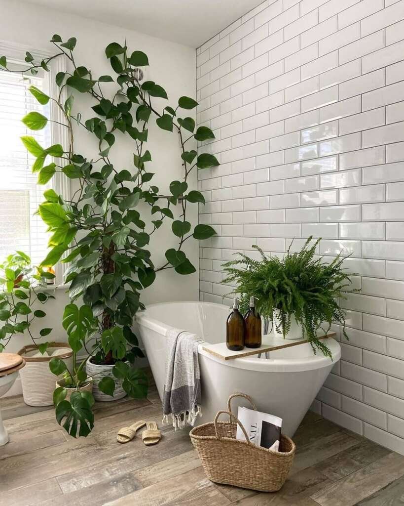 Large plants in a bathroom. Colourful bathroom ideas