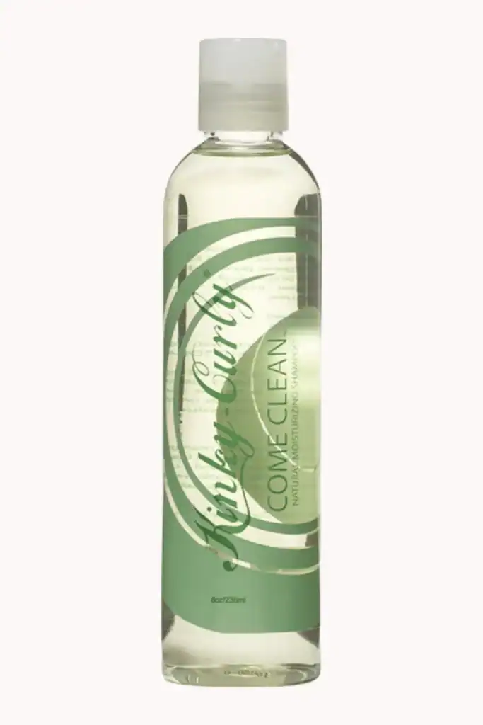 Best Shampoos For Low Porosity Hair