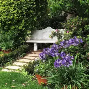 Garden nook ideas