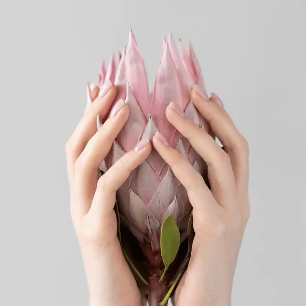 hands-holding-a-delicate-pink-flower-sunday-self-care