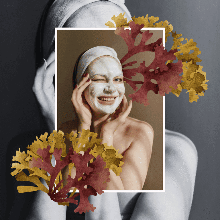 DIY sea moss face mask recipes