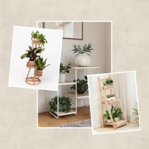 Best Indoor Plant Stands For Multiple Plants