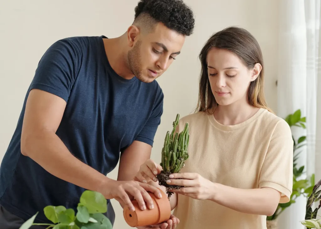 couple potting plants together. hobbies for couples