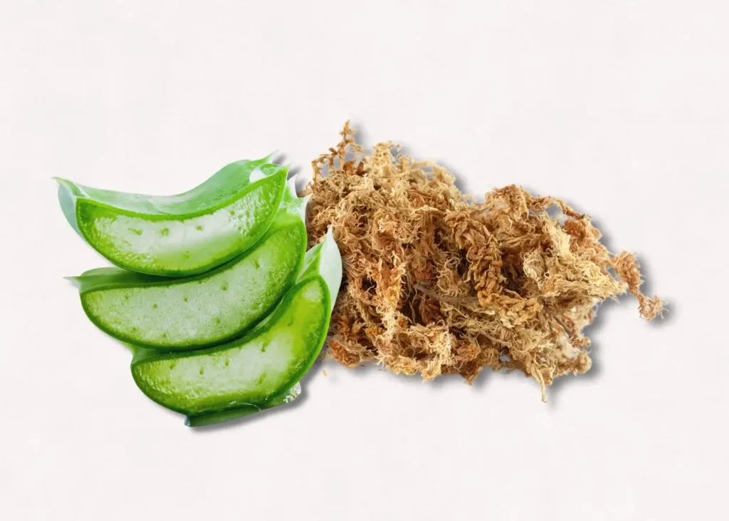 Sea Moss & Aloe Balancing Mask. Homemade Face Masks For Acne